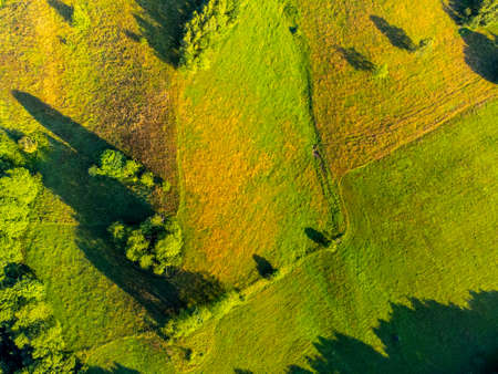 Lush green natural landscape with trees and meadowsの写真素材