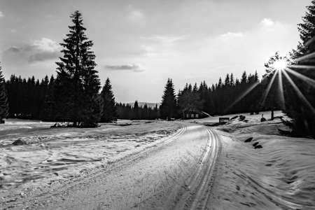 Cross-country skiing in Jizera Mountainsの写真素材
