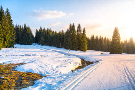 Cross-country skiing in Jizera Mountainsの写真素材