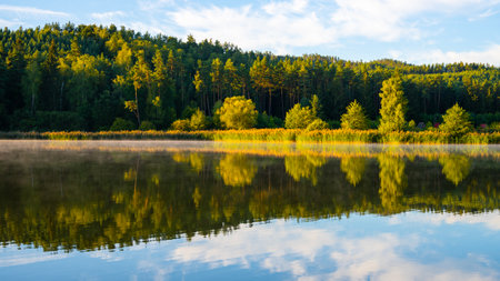 Idyllic sunny and hazy morning at the waterの写真素材