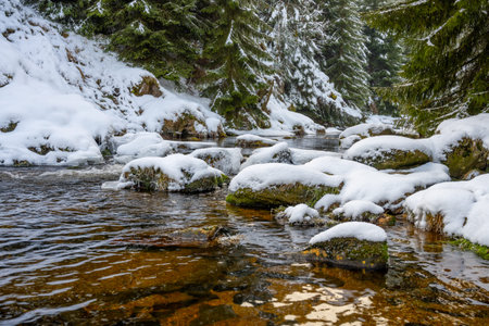 Jizerka river in winter timeの写真素材