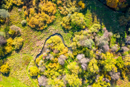 Narrow creek meanders in autumnal landscape from above