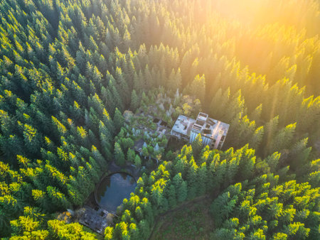 Ruins of former tin mine in the forest from above