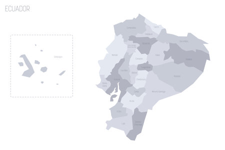 Ecuador political map of administrative divisions - provinces. Grey vector map with labels.のイラスト素材