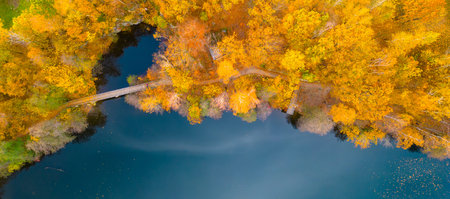 Tourist path through vibrant colored forest and bridge over blue water at autumn time. Aerial view...