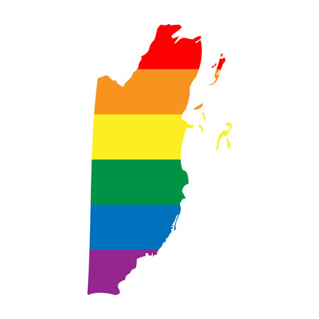 Belize country silhouette. Country map silhouette in rainbow colors of LGBT flag.のイラスト素材