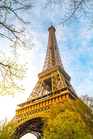 Morning view of Eiffel Tower from bottom. Paris, Franceの写真素材