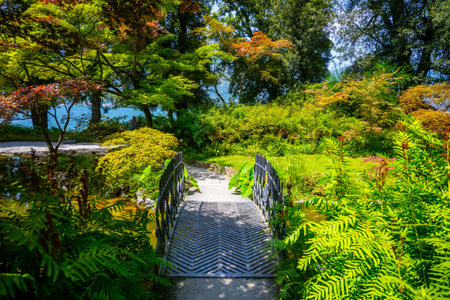 Japanese garden with small bridge at Villa Melzi in Bellagio. Como Lake, Italyの写真素材