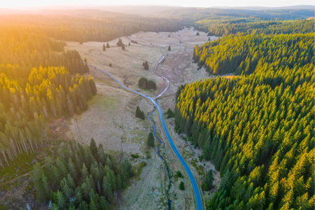 Coniferous forest at sunset from an aerial drone perspective. Valley landscape with an asphalt road and a stream in the Ore Mountains region, Czech Republic.の写真素材