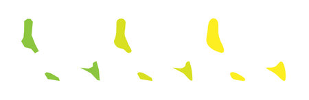 Comoros country black outline and colored country silhouettes in three different levels of smoothness. Simplified maps. Vector icons isolated on white background.のイラスト素材