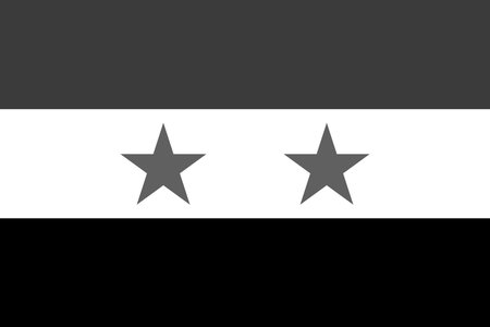 Syria flag - greyscale monochrome vector illustration. Flag in black and whiteのイラスト素材