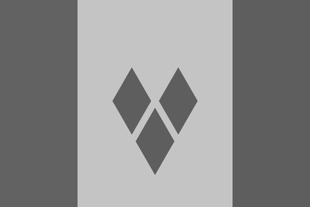 Saint Vincent and the Grenadines flag - greyscale monochrome vector illustration. Flag in black and whiteのイラスト素材