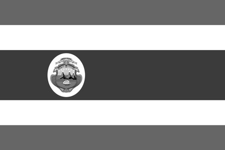 Costa Rica flag - greyscale monochrome vector illustration. Flag in black and whiteのイラスト素材
