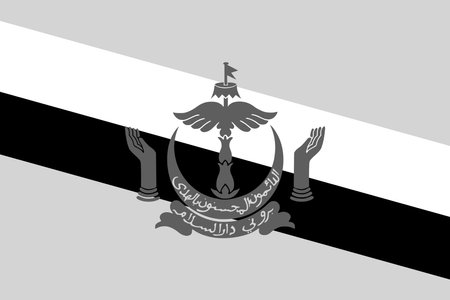 Brunei flag - greyscale monochrome vector illustration. Flag in black and whiteのイラスト素材