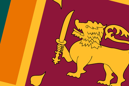 Sri Lanka flag - rectangular cutout of rotated vector flag.のイラスト素材