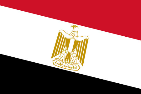 Egypt flag - rectangular cutout of rotated vector flag.のイラスト素材