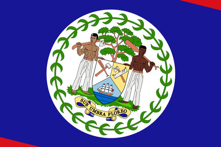 Belize flag - rectangular cutout of rotated vector flag.のイラスト素材