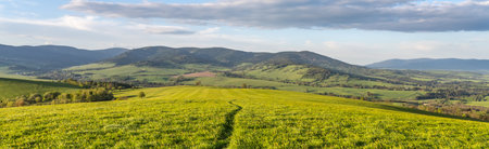 A winding path cuts through a lush green field to the Kralicky Sneznik Mountains of Czechia,...