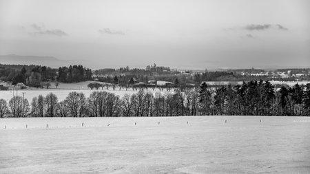 A tranquil winter landscape features expansive snow-covered fields and a distant view of trees. The grey skies add to the peaceful atmosphere, creating a perfect winter day for contemplation.の写真素材