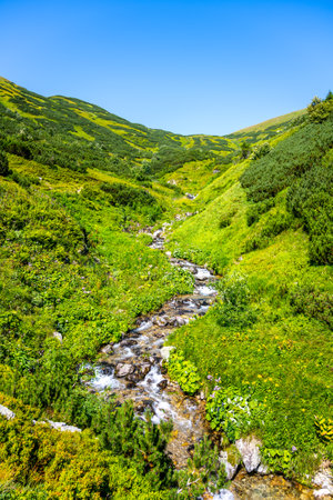 A serene mountain creek winds its way through vibrant green hills. The clear water cascades over rocks, creating a peaceful atmosphere surrounded by the stunning natural landscape.の写真素材