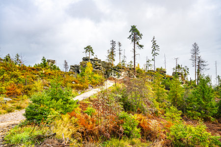 The path winds through vibrant foliage leading to Ostas Table Mountain. Towering trees and rock formations create a serene atmosphere for hikers and nature lovers amidst the autumn colors.の写真素材