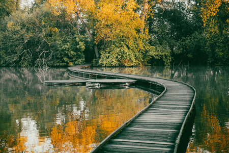 A narrow wooden bridge gracefully curves over a calm pond, surrounded by vibrant autumn foliage in Vestec, near Prague. The tranquil setting captures the essence of the season.の写真素材