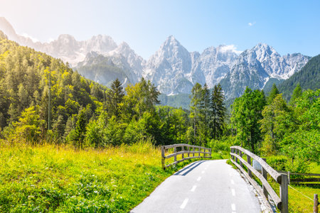 A well-defined pathway leads through lush greenery in the Julian Alps, offering stunning views of towering mountain peaks under a clear blue sky, inviting exploration and adventure.の写真素材