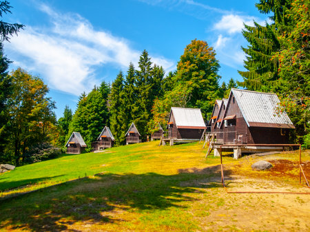 Five cozy camp cottages are set against a backdrop of lush greenery and vibrant trees under a bright blue sky. The peaceful setting invites relaxation and outdoor activities.の写真素材