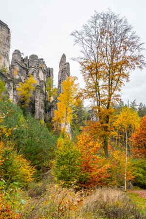 Prachov Rocks showcase stunning autumn foliage with trees displaying vibrant yellow and orange leaves. The rock formations create a striking contrast against the colorful landscape.の写真素材