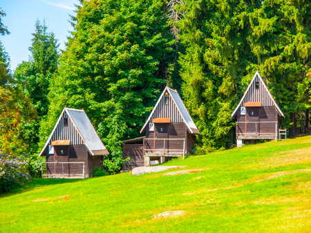 Three charming cottages with triangular roofs sit on a lush green hill surrounded by tall trees. The peaceful setting invites relaxation and connection with nature.の写真素材