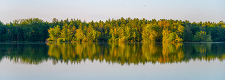 The serene Trebonsko Pond System showcases lush greenery reflecting beautifully in calm waters, highlighting the natural beauty of this UNESCO Biosphere Reserve in South Bohemia.の写真素材