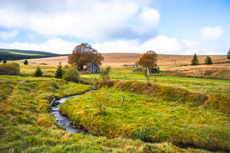 The scenic remains of the Konigsmuhle settlement are set against the backdrop of rolling hills and a winding stream in the Ore Mountains of Czechia, showcasing natures reclaiming of the area.の写真素材