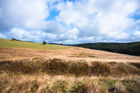 Expansive grasslands stretch across the Ore Mountains under a cloudy sky. The serene landscape...