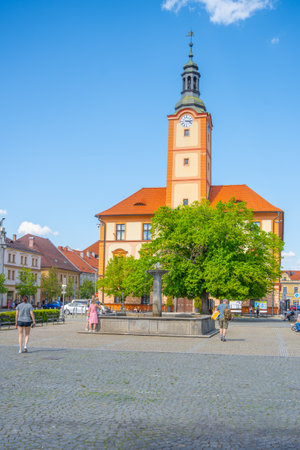 Bright day at Susice where locals and tourists gather around the historic Town Hall, enjoying the lush green tree and vibrant atmosphere of the main square in Czechia.の写真素材