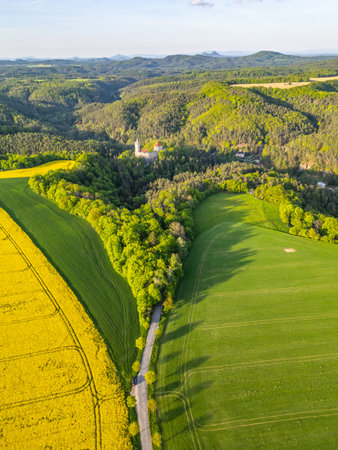 Spring brings vibrant fields in Kokorinsko area, showcasing lush greenery and vibrant colors, with the historic Kokorin Castle majestically situated in the background, surrounded by nature.の写真素材