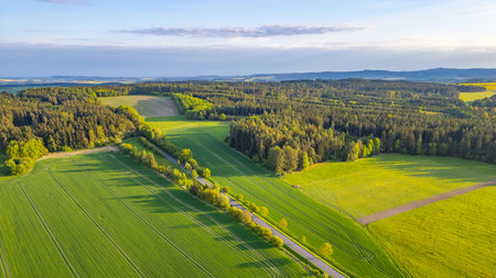 In a tranquil spring evening, lush green fields stretch across the landscape, bordered by a serene forest under a soft sky. Sunlight casts gentle shadows, enhancing the scenes peacefulness.の写真素材