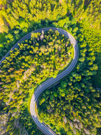 A winding asphalt road snakes through a vibrant green forest valley, surrounded by tall trees and natural beauty, inviting exploration and adventure in a serene setting.の写真素材