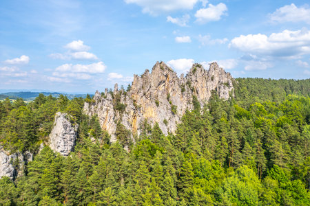 Suche skaly features stunning sandstone rock formations rising above lush green forests in the Bohemian Paradise, Czechia. This natural wonder attracts hikers and nature enthusiasts year-round.の写真素材