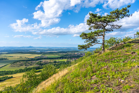 Visitors enjoy breathtaking views from Roudnice Lookout Point on Rip Mountain. Lush greenery and a clear sky create a perfect backdrop for relaxation and exploration.の写真素材