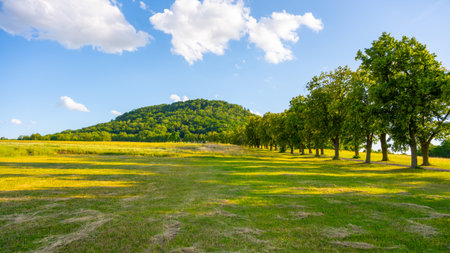 A bright day reveals the lush greenery of Rip Mountain in Czechia, surrounded by a serene landscape of open fields and lined trees under a blue sky dotted with clouds.の写真素材