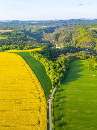 Spring brings vibrant fields in Kokorinsko area, showcasing lush greenery and vibrant colors, with the historic Kokorin Castle majestically situated in the background, surrounded by nature.の写真素材
