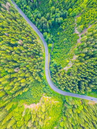 A winding asphalt road snakes through a lush green forest valley. The serpentine path offers scenic views, surrounded by tall trees and vibrant foliage, inviting exploration.の写真素材