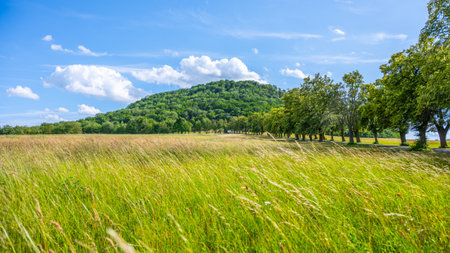 Rip Mountain rises against a bright blue sky, surrounded by lush greenery and swaying grasses. It offers a peaceful landscape perfect for outdoor activities and relaxation.の写真素材