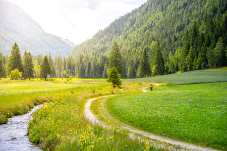 A winding road traverses a lush green meadow in the Austrian Alps. A cyclist rides along the path, flanked by towering trees and vibrant scenery under a clear sky.の写真素材