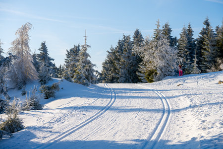 Cross country skiing tracks wind through the snowy landscape of the Jizera Mountains in Poland. Tall trees surround the trail, shimmering with frost under bright sunlight.の写真素材