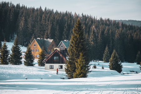 Snow covers the ground at Orle Settlement, where colorful cottages nestle among towering trees. A person walks through the winter landscape, enjoying the serene atmosphere.の写真素材