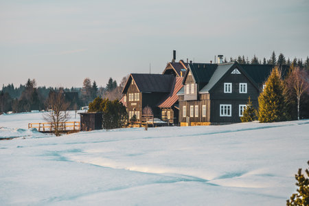 Sunny winter morning in Jizerka village showcases charming cottages surrounded by pristine snow. The peaceful landscape invites visitors to enjoy a serene atmosphere.の写真素材