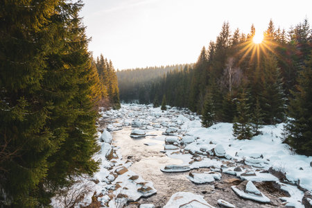 The tranquil Jizera River flows gently, surrounded by snow-covered rocks and tall evergreen trees. A...