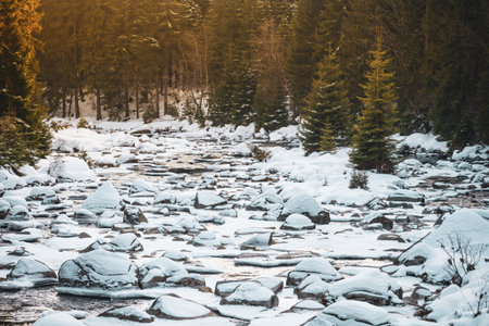 A peaceful winter evening at Jizera River, where snow blankets smooth rocks and trees. The serene atmosphere reflects the beauty of nature along the border of Czechia and Poland.の写真素材