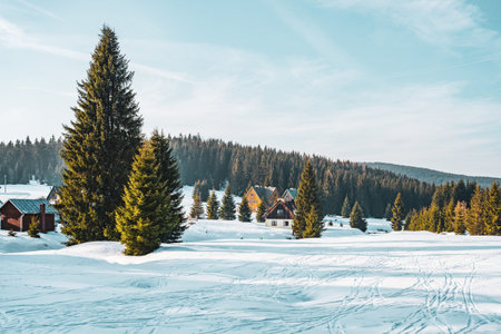 Snow blankets the landscape at Orle Settlement in the Jizera Mountains, Poland. Pine trees stand...